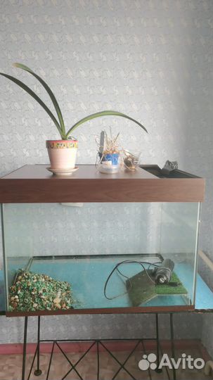 Аквариум