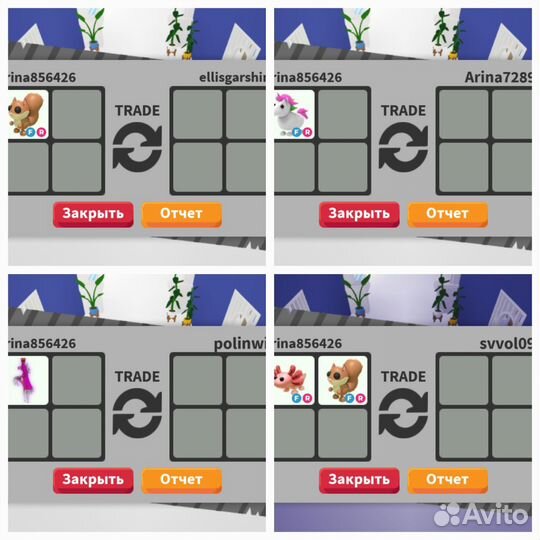 Петы адопт ми adopt me роблокс