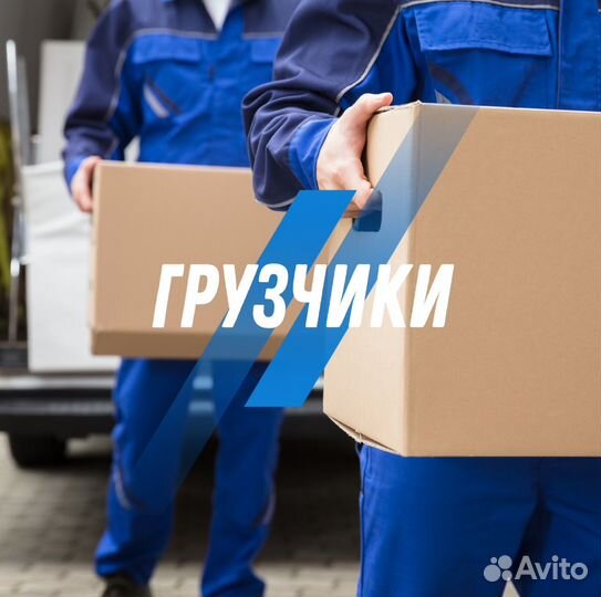 Грузчики разнорабочие