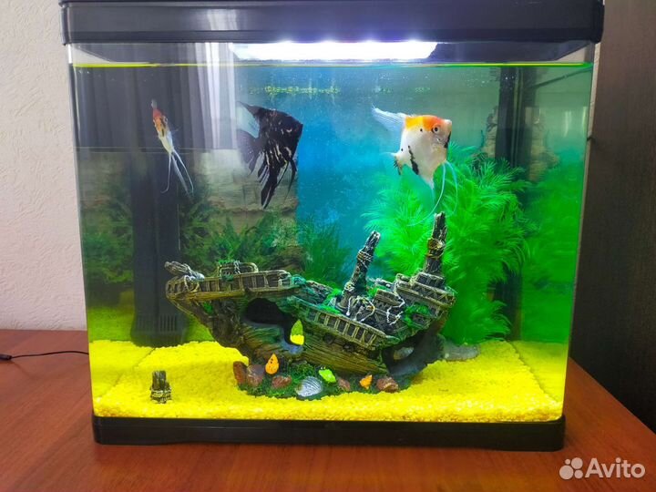 Аквариум