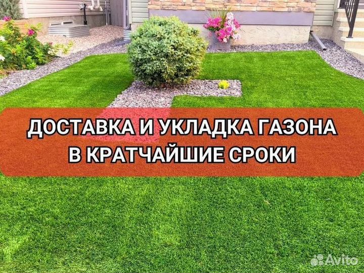 Укладка газона