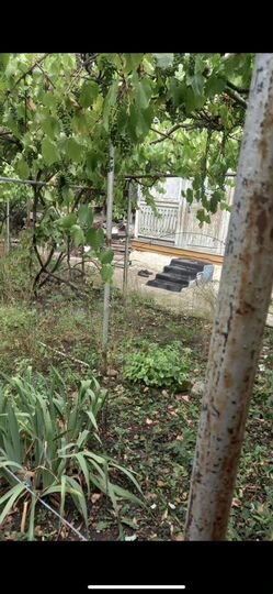 Дом 29 м² на участке 4,4 сот.