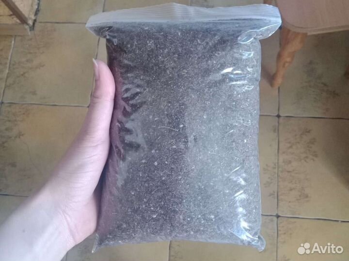 Грунт для хищных растений