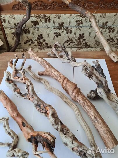 Морские коряги дрифтвуд