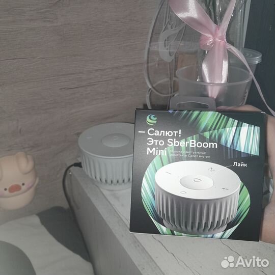 Сбербум мини