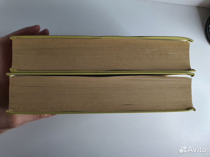 Книги В.П.Авенариус 2 и 4 том