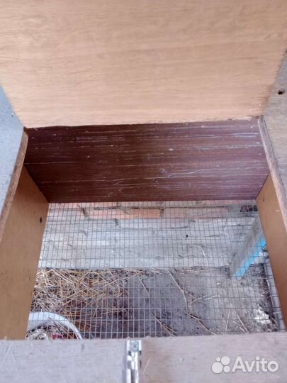 Клетка для кролика