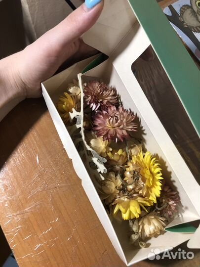 Сухоцветы для творчества