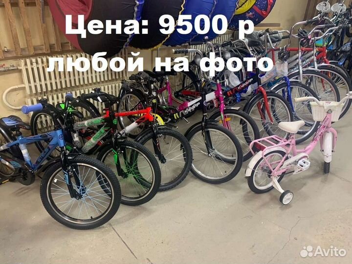 Много велосипед ов/у нас/Большой выбор