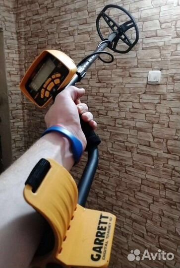Металлоискатель в аренду