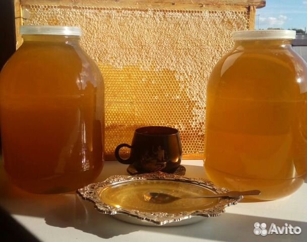 Цветочный мёд оптом
