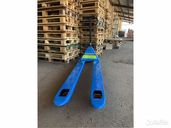 Рохля длинная