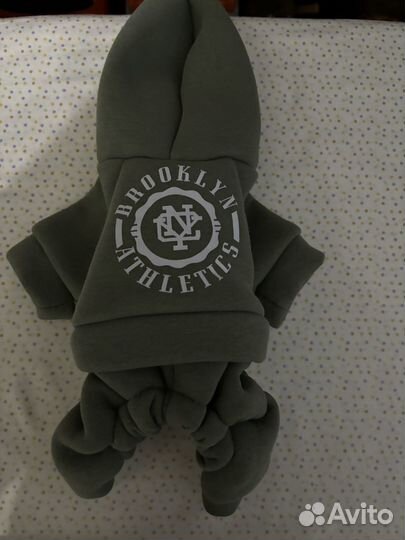 Новый комбез для маленькой собачки