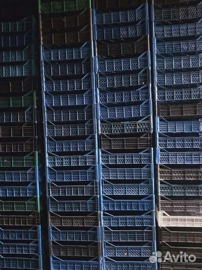 Ящик пластиковый