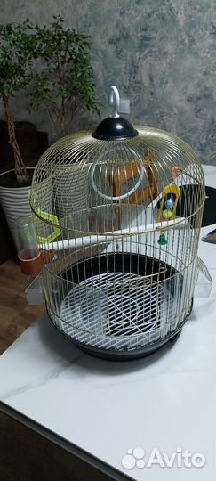 Клетка для попугая
