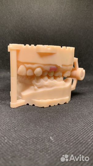 Зубной техник керамист