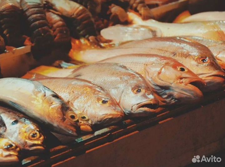 Купите готовый бизнес: магазин рыбы