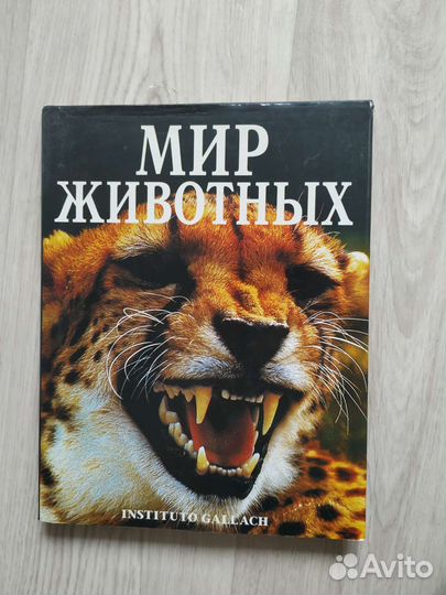 Книга Мир животных