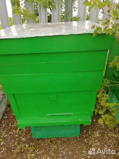 Продам ульи для пчел