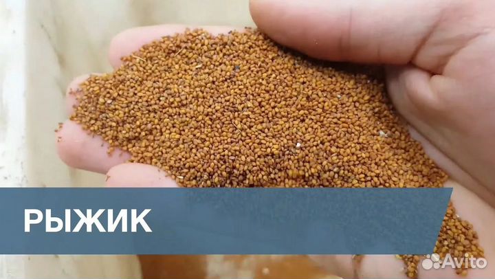 Жмых рыжика, холодный отжим (прикорм для животных)