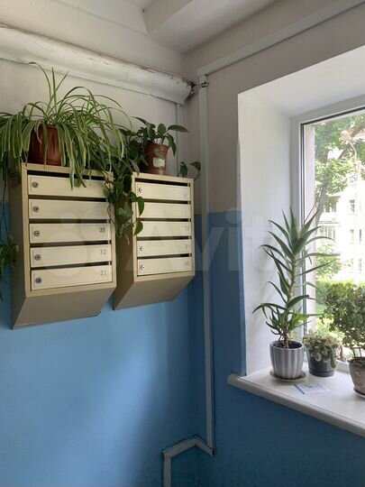 1-к. квартира, 30,9 м², 2/5 эт.