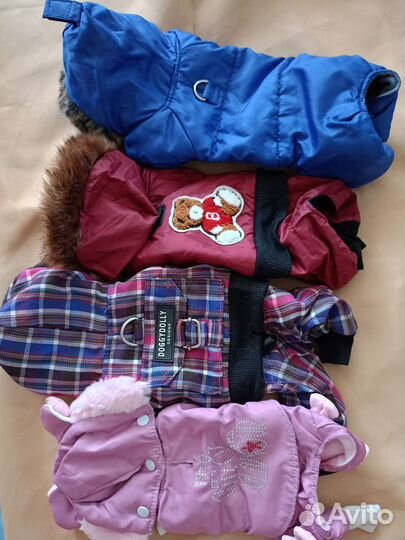 Одежда для маленьких собак xs