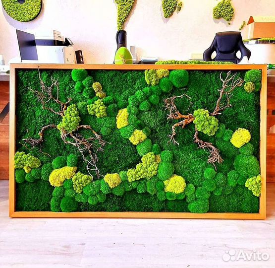 Мох стабилизированный панно фитостена фитокартина