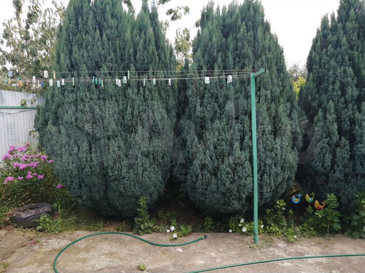 Дом 53 м² на участке 8 сот.