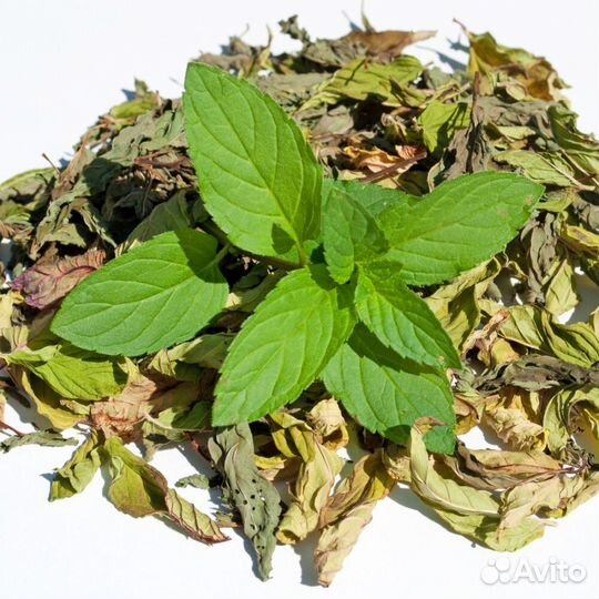 Мята сушеная