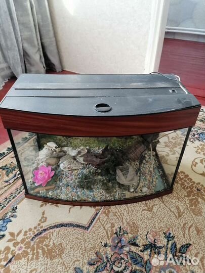 Аквариум