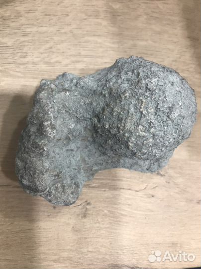 Окаменелости разные