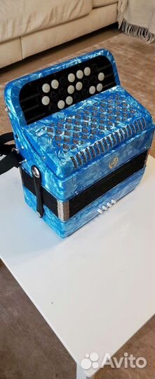 Баян ученический