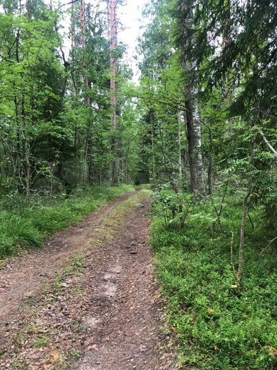 Участок 1,7 га (СНТ, ДНП)