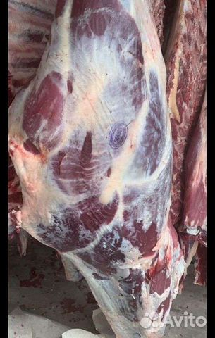 Мясо телятина