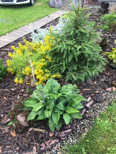 Дом 46,8 м² на участке 10 сот.