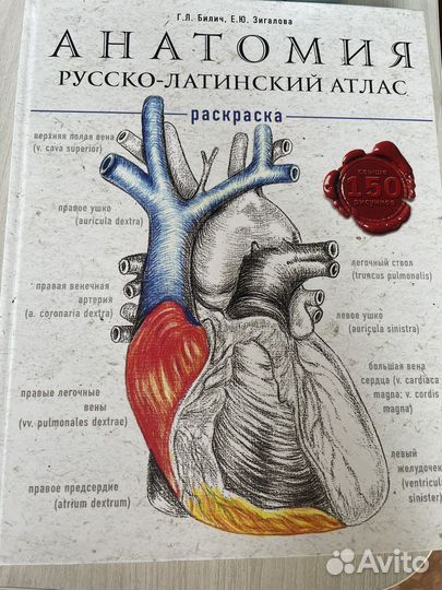 Атлас-раскраска по анатомии