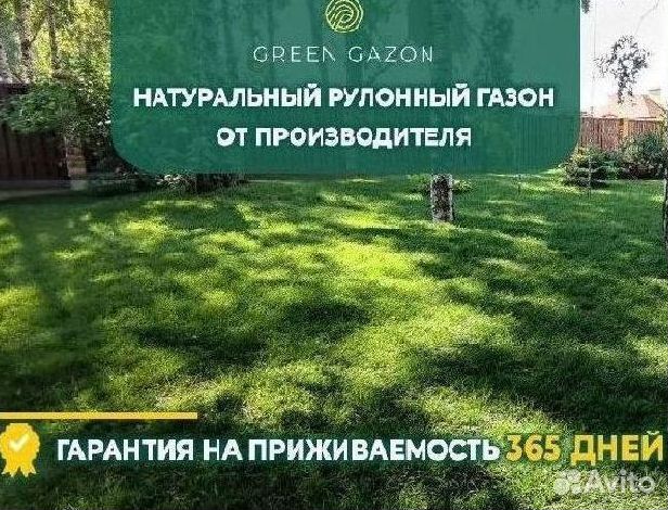 Газон