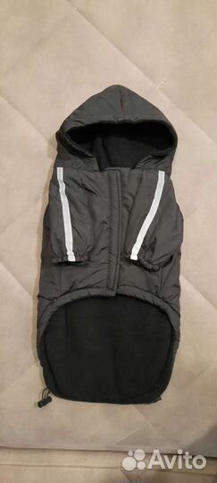 Одежда для средних собак, новое