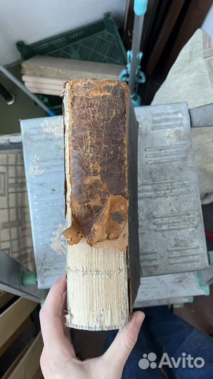 Учебник физиологич человека, 1896г