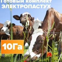 Комплект электропастух 10 Га