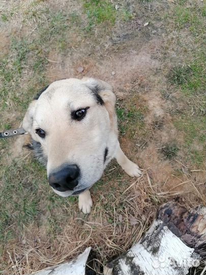 Ну где же потерялись мои люди