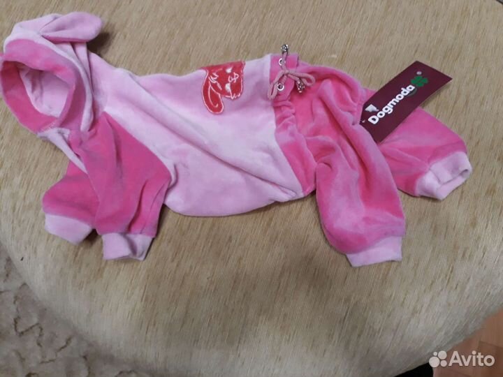 Одежда для маленьких собак