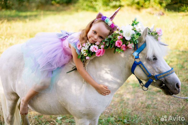 Конные прогулки,пони,фотосессия