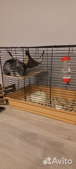 Домик клетка