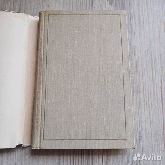 Барсуки. Леонов. 1969 г