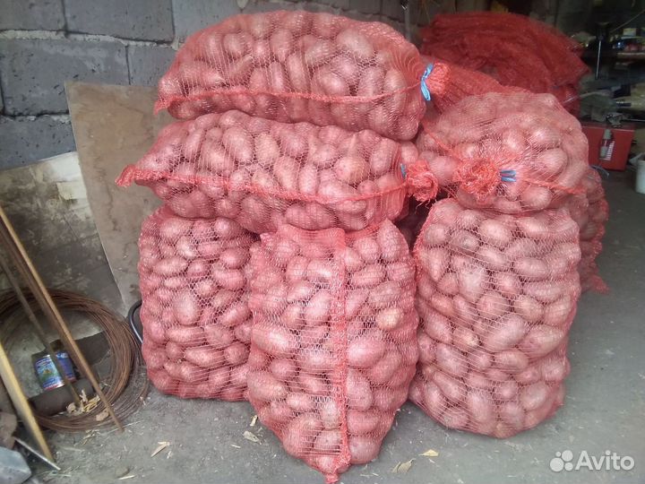Продукты питания
