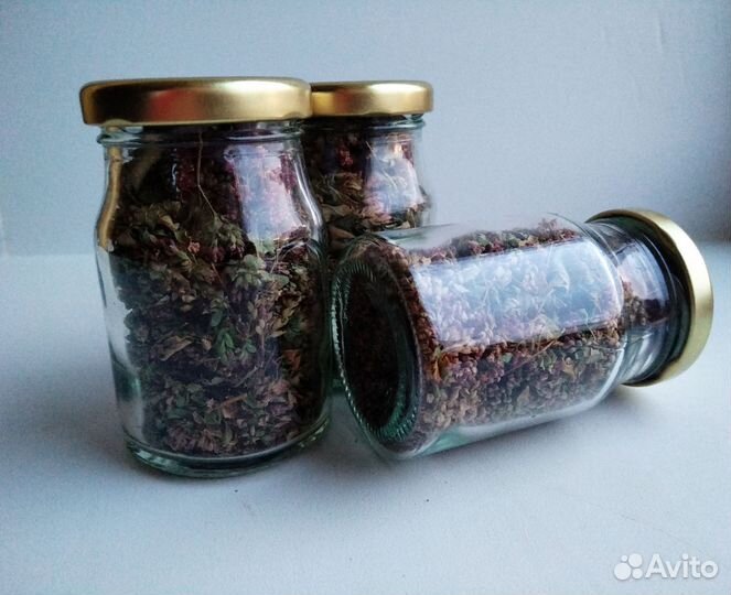 Душица Орегано