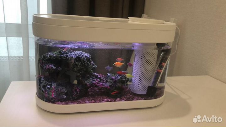 Акваферма xiaomi