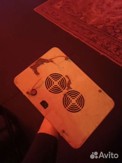 Фитолампа для растений