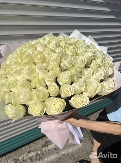 Розы Опт Крым Эквадор